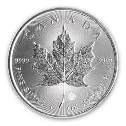 Canadian Silver Maples