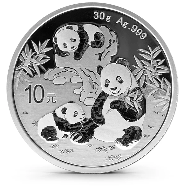 Buy the 2025 China 30 Gram Silver Panda Coin | Monument