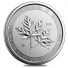 2019 10 Oz $50 Canadian Silver 'Magnificent' Maple Leaf Coin